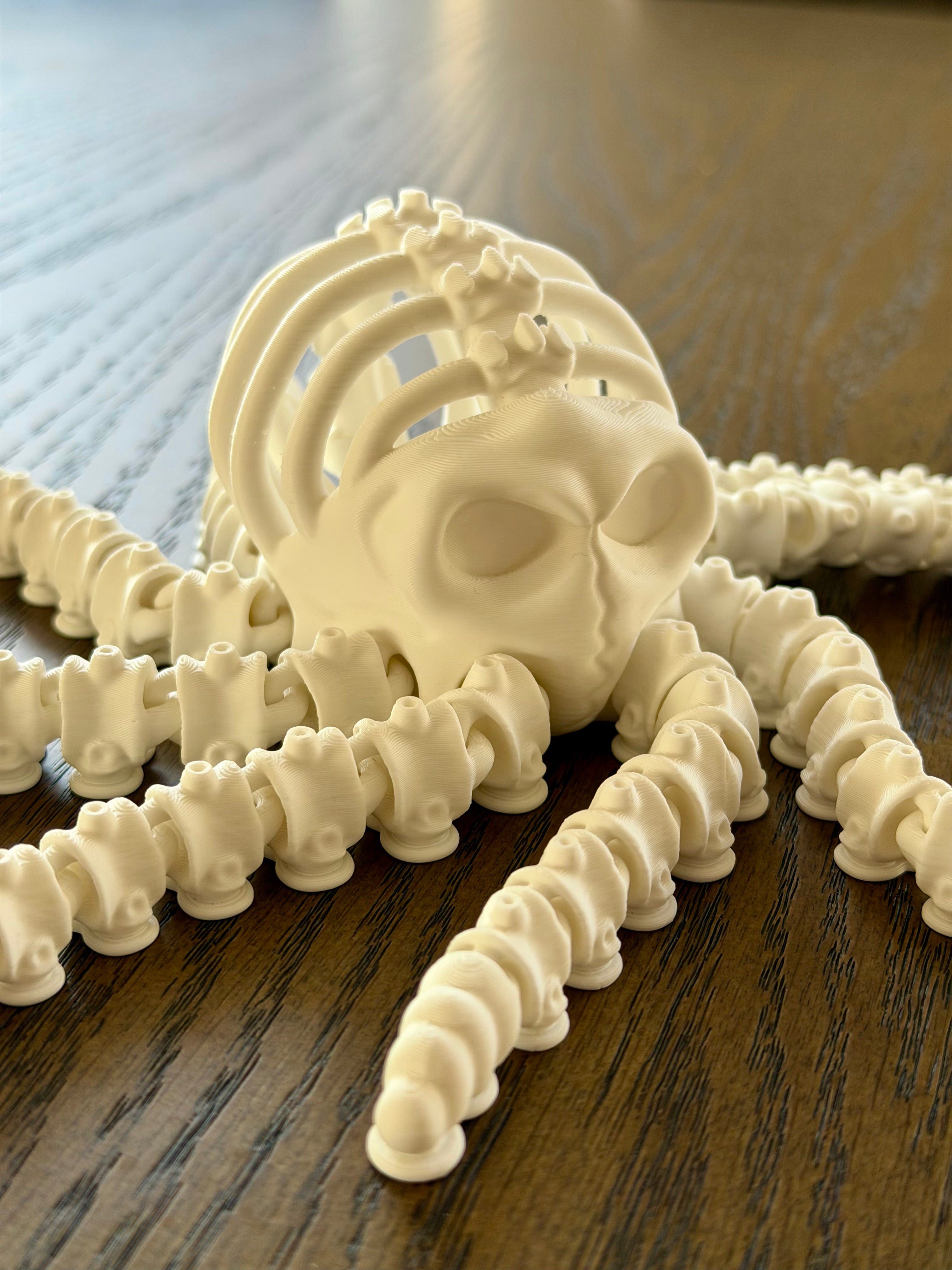 Skelet fidget blæksprutte